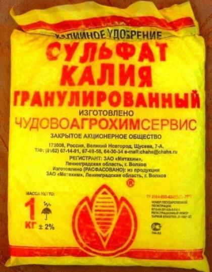 Подкормка томатов: какие удобрения нужны для выращивания томатов в помещении на балконе и в земле, в том числе во время цветения и завязывания плодов